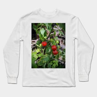 Tomatoes Long Sleeve T-Shirt